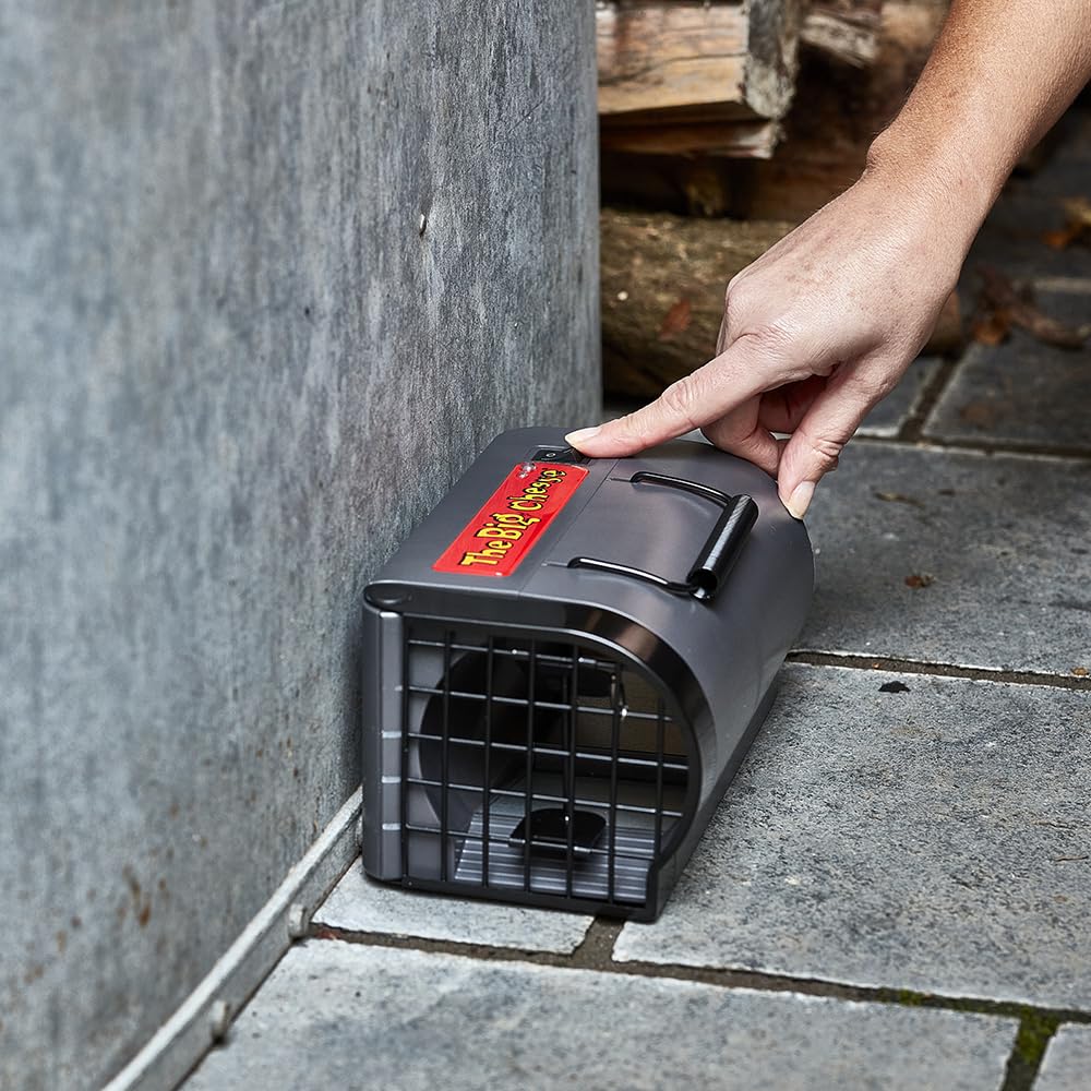 The Big Cheese Ultra Power Neo-Zap Electronic Rat Killer, Quick, Effective, Humane, Safe, Hygienic, Reusable Battery Powered Unit, New Improved Design